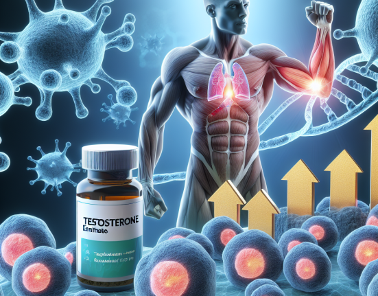 L'effet de l'énanthate de testostérone sur le système immunitaire